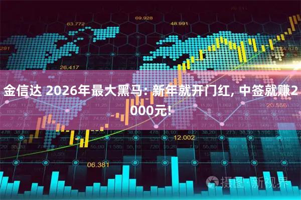 金信达 2026年最大黑马: 新年就开门红, 中签就赚2000元!